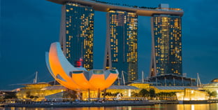 Importeren Singapore